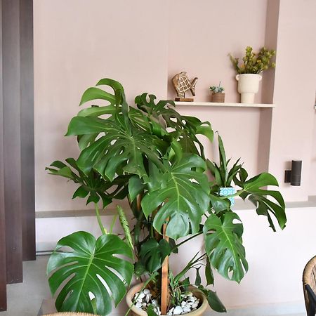 Casa Enetiko Hotel Chania  Luaran gambar