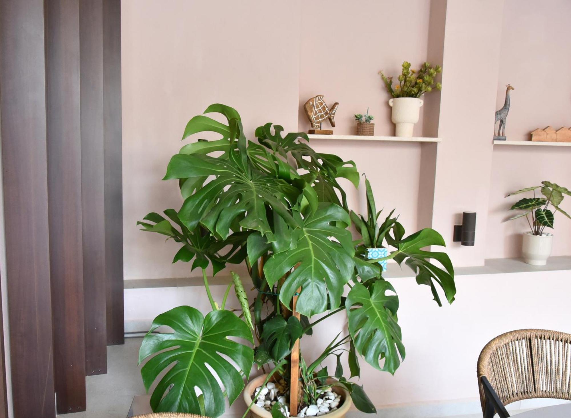 Casa Enetiko Hotel Chania  Luaran gambar